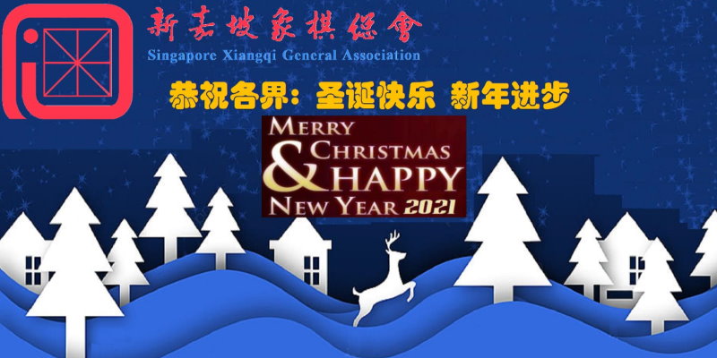 Merry Christmas & Happy New Year 2021